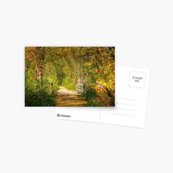 Enchanted Trail Postcard