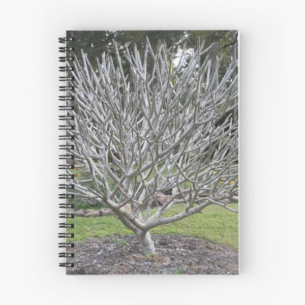 Item preview, Frangipani Tree in Winter designed and sold by Robyn J. Blackford.