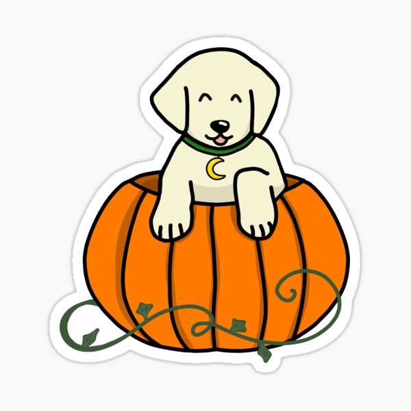 Pumpkin puppy Sticker