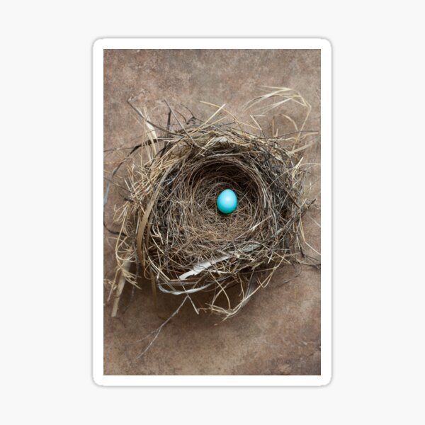 Item preview, Fragile designed and sold by Colleen Farrell.