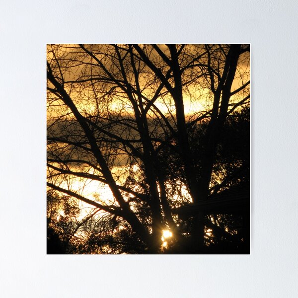 Item preview, Sunset after the Rain designed and sold by kenspics.