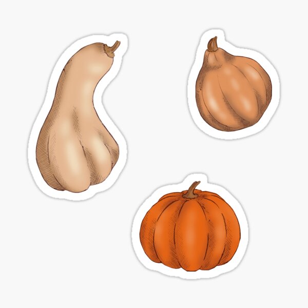 Pumpkins Sticker