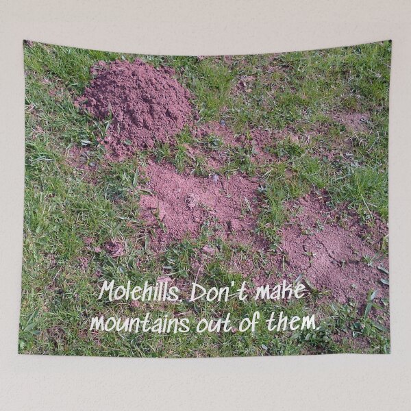 Item preview, Molehills. Mole hills. Don't make mountains out of them! designed and sold by JellyBeenzz.