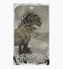 Noble Trevelyan Tarot Card Photographic Print