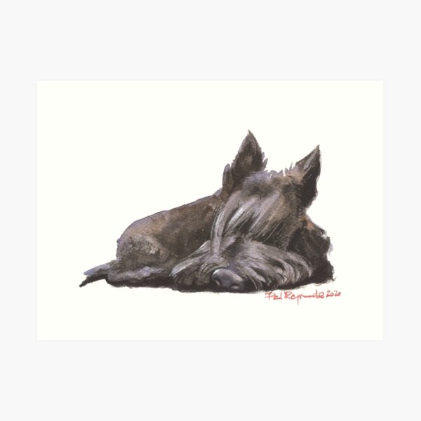 Charlie Sleeps Art Print