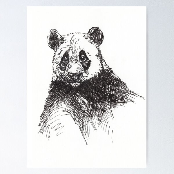 Giant Panda Poster