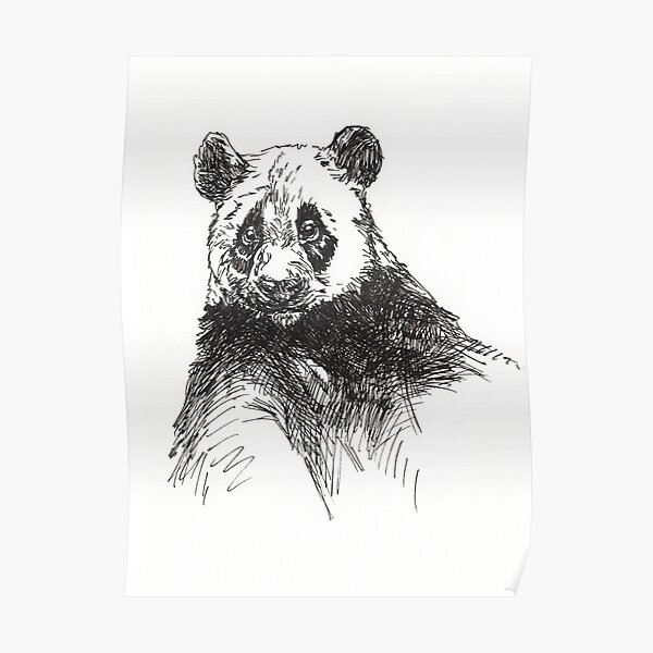 Giant Panda Poster