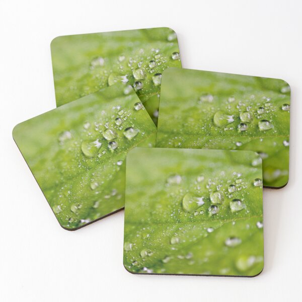 Item preview, Rain drops on a Leaf designed and sold by cmsmith2364.