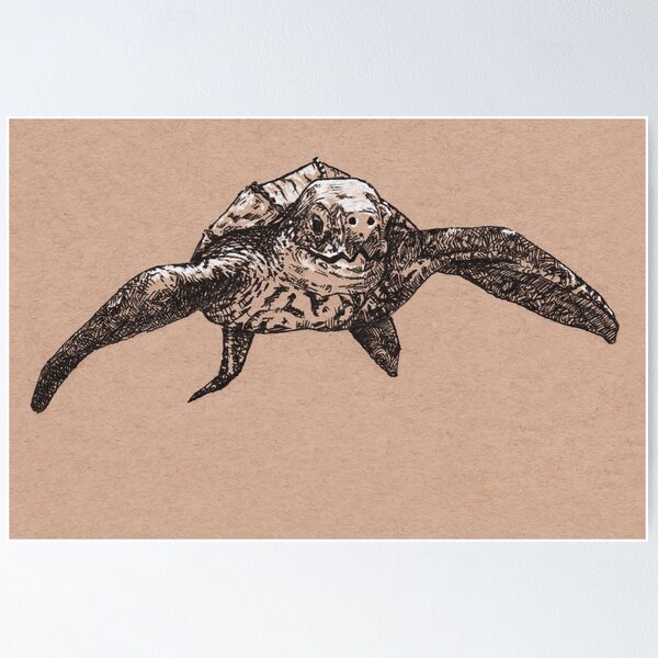 Leatherback Turtle Poster