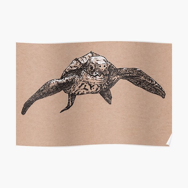 Leatherback Turtle Poster