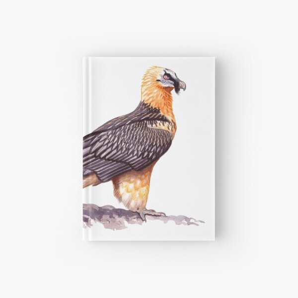 Bearded Vulture Hardcover Journal