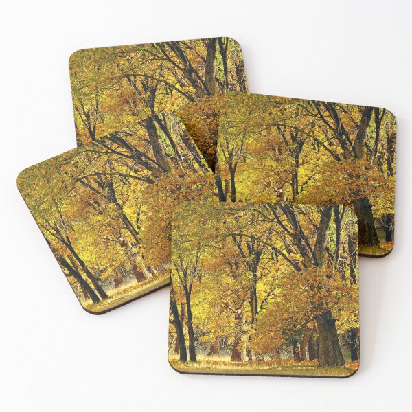 Item preview, Herbst II   designed and sold by Erwin G. Kotzab.