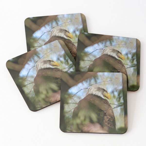 Item preview, Bald Eagle 1 designed and sold by thedvguy.