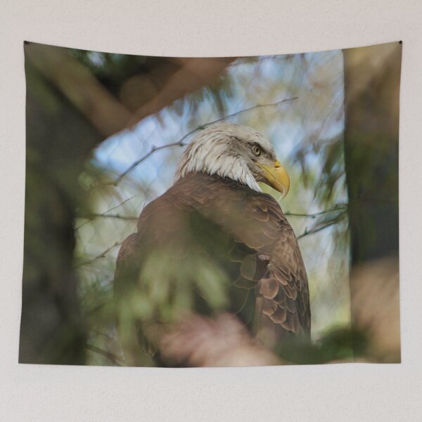 Item preview, Bald Eagle 1 designed and sold by thedvguy.