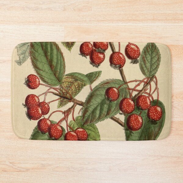 Item preview, Pyrus yunnanensis 141 8629 designed and sold by EsotericBotanic.