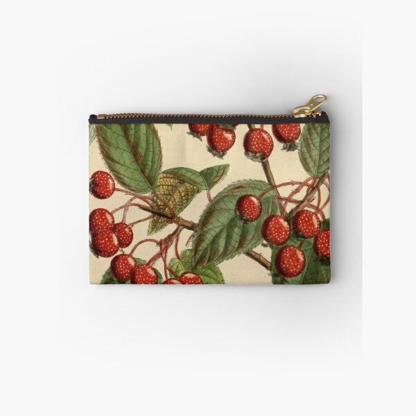 Item preview, Pyrus yunnanensis 141 8629 designed and sold by EsotericBotanic.