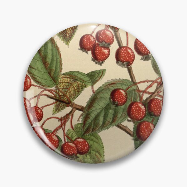 Item preview, Pyrus yunnanensis 141 8629 designed and sold by EsotericBotanic.