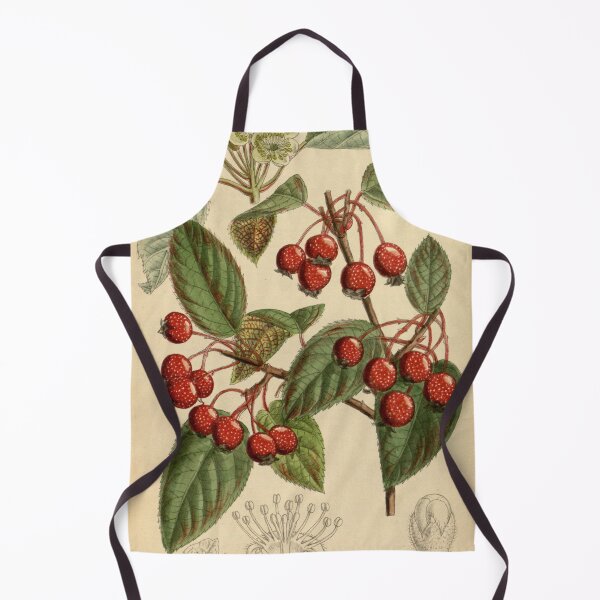 Item preview, Pyrus yunnanensis 141 8629 designed and sold by EsotericBotanic.