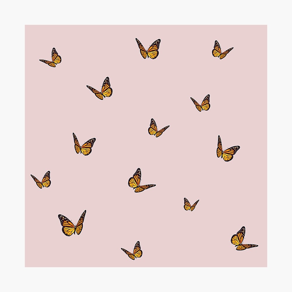 butterfly vsco pattern | Poster