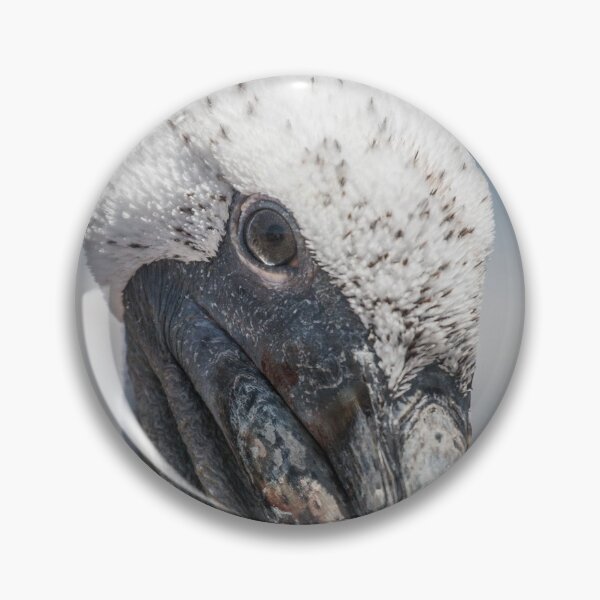 Item preview, Pelican Face designed and sold by williamsrdan.