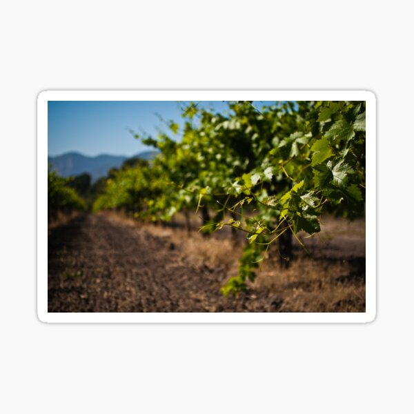 Item preview, Wine Vineyard designed and sold by williamsrdan.
