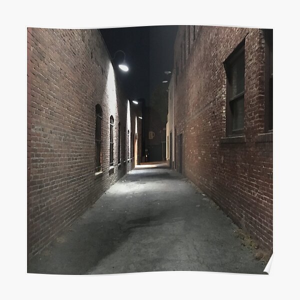 Alleyway Posters Redbubble