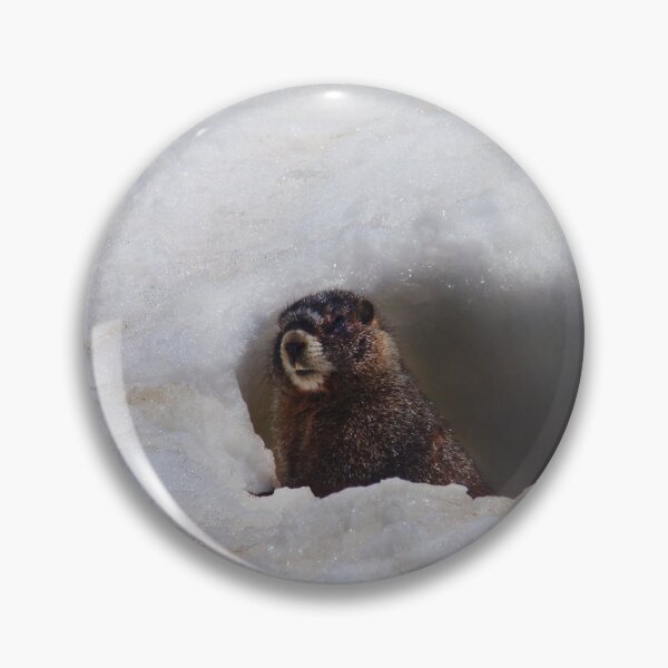 Item preview, Marmot on Engineer Pass, Colorado designed and sold by Questforit.