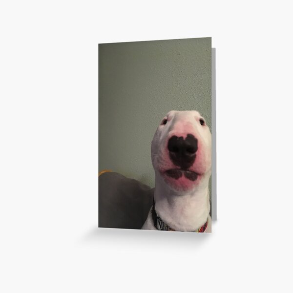 @PupperNelson: "Walter" Original Greeting Card