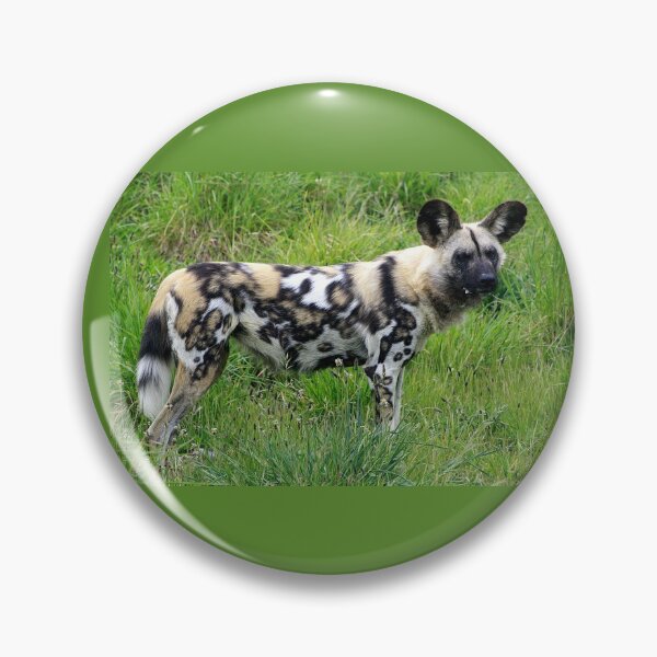 Item preview, African Wild Dog (1) designed and sold by Phil Le Cren.