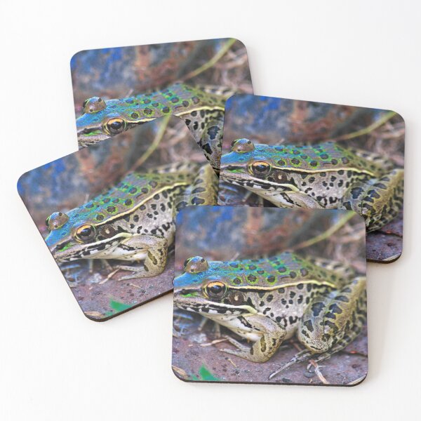 Item preview, Backyard Frog (2) designed and sold by michaelasamples.