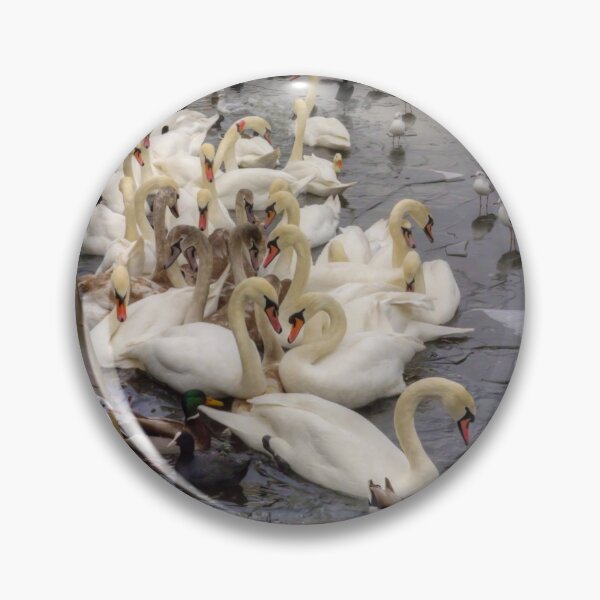 Item preview, Swan Lake designed and sold by tomg.