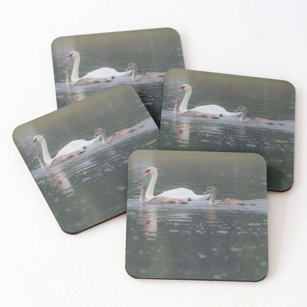 Item preview, Swan and Cygnets designed and sold by Adrian Rowley.
