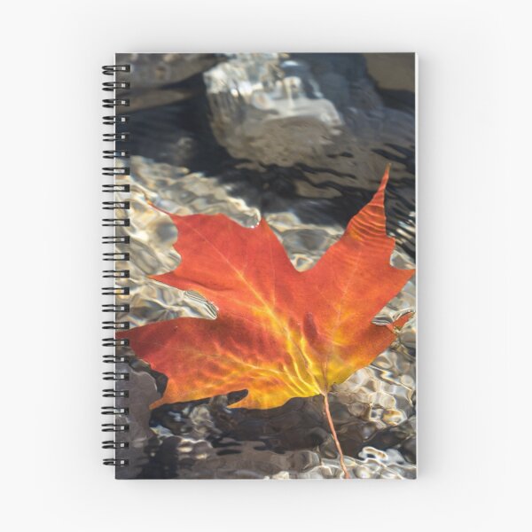 Item preview, Playful Patterns - Maple Leaf in Bold Vermilion and Orange Floating Underwater designed and sold by Georgia Mizuleva.