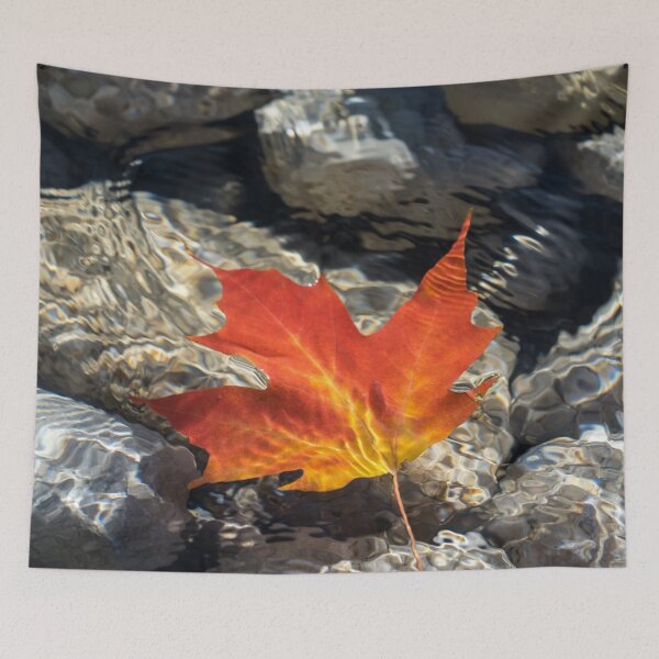Item preview, Playful Patterns - Maple Leaf in Bold Vermilion and Orange Floating Underwater designed and sold by Georgia Mizuleva.