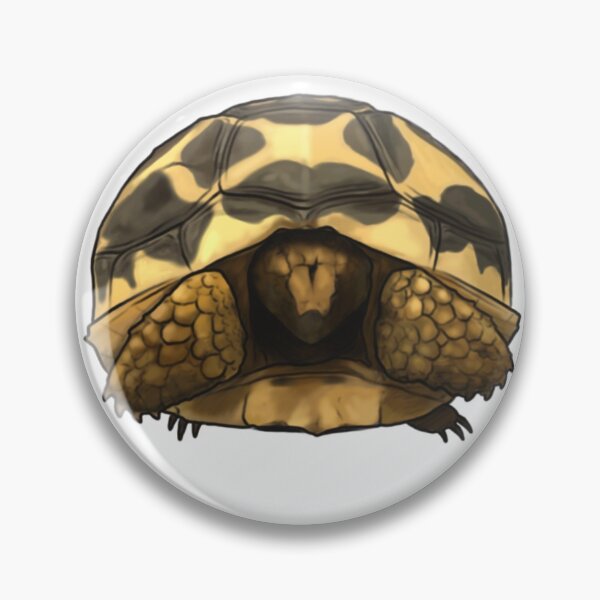 Item preview, Itty Bitty Star Tortoise  designed and sold by Izyki-O.