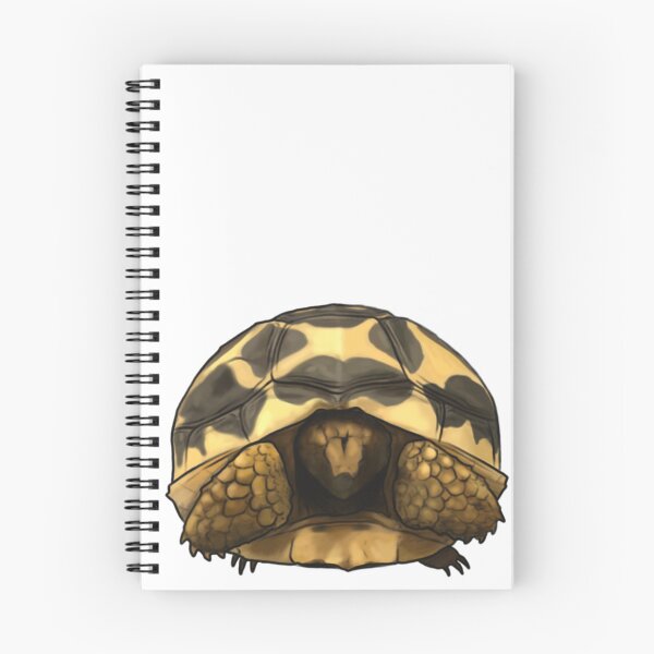 Item preview, Itty Bitty Star Tortoise  designed and sold by Izyki-O.