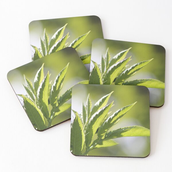 Item preview, Leafy Green designed and sold by hevansphoto98.
