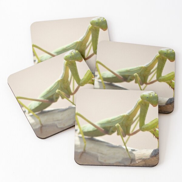 Item preview, Fun bug Praying Mantis She is a beautiful Killer designed and sold by SumoShark.
