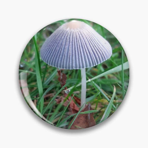 Item preview, Mushroom toad stool  designed and sold by Emma  Amies.