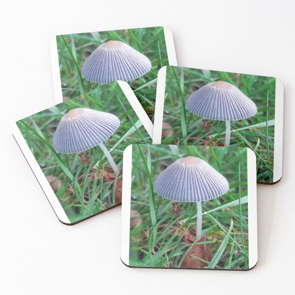Item preview, Mushroom toad stool  designed and sold by Emma  Amies.