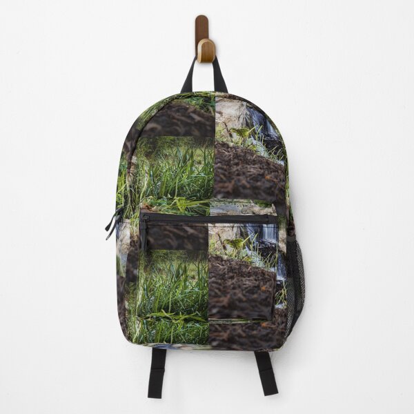 Item preview, Waterfall in Nicolae Romanescu Park designed and sold by Life-s-A-Hike.