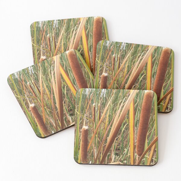 Item preview, Cattails in the woods designed and sold by edwardtiptonart.