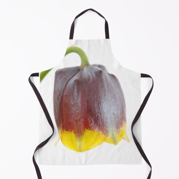 Item preview, Fritillaria michailovskyi Michailovski fritillary designed and sold by Chris Burrows.