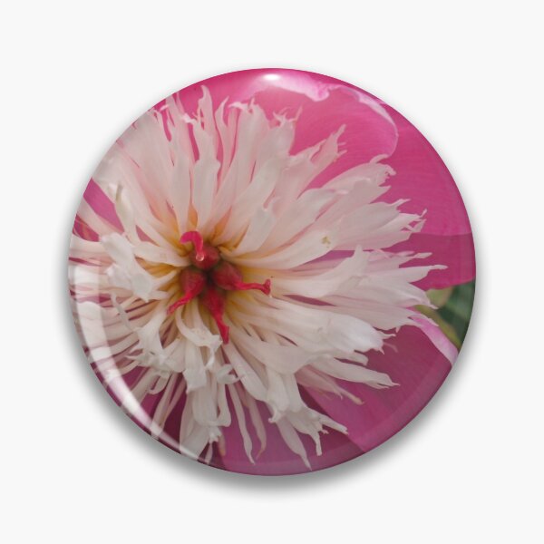 Item preview, Summer Colour, June 2020 designed and sold by RedHillDigital.