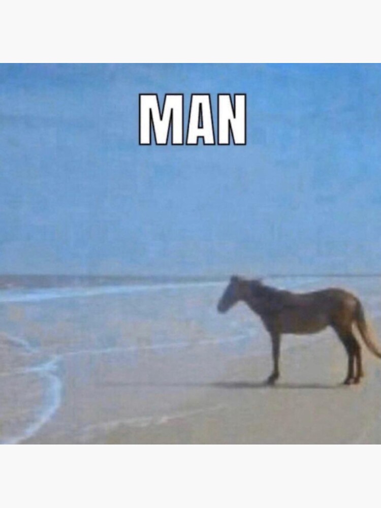 Horse Man Meme Beach Gifts & Merchandise for Sale | Redbubble