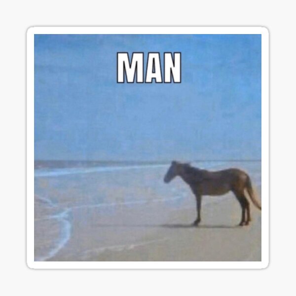 Horse By The Ocean Man Meme Sticker By Catalunar Redbubble