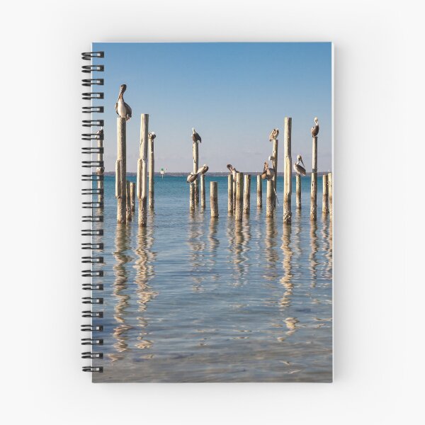 Item preview, Flock of Pelicans Relaxing in the Sun, Florida designed and sold by Joshua McDonough.