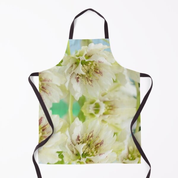 Item preview, Helleborus x hybridus  Double white with spots  Hellebore  designed and sold by Chris Burrows.