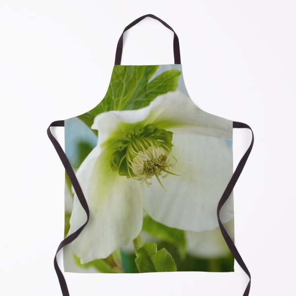 Item preview, Helleborus x hybridus 'Pretty Ellen White' Hellebore designed and sold by Chris Burrows.