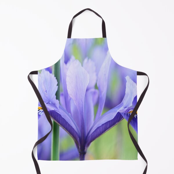 Item preview, Iris 'Harmony' Reticulata designed and sold by Chris Burrows.
